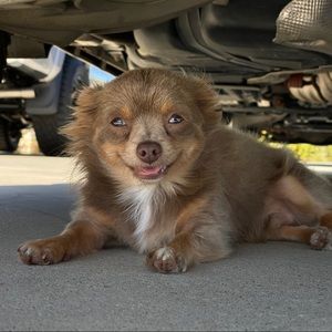 Meet your Posher, Ryan